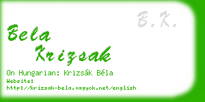 bela krizsak business card